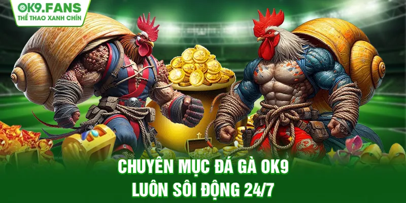 Chuyên mục Đá Gà OK9 luôn sôi động 24/7 