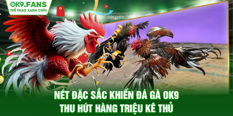 Ưu điểm giúp Đá Gà OK9 thu hút hàng triệu kê thủ