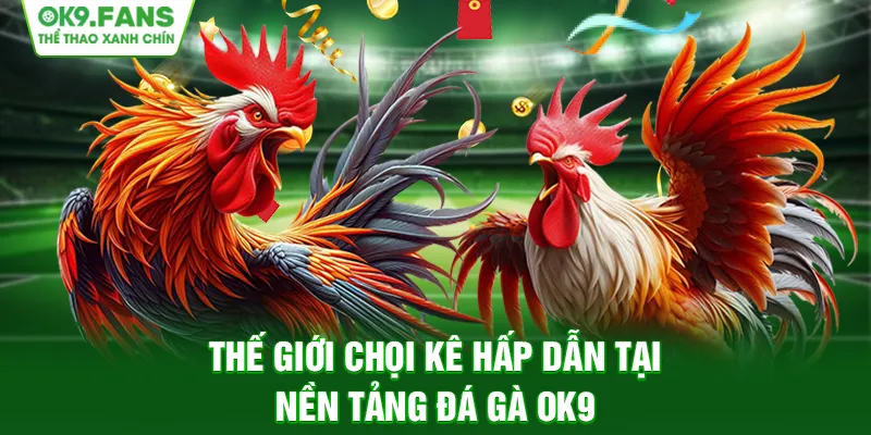 Thế giới chọi kê hấp dẫn tại nền tảng Đá Gà OK9 