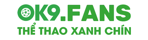 footer logo ok9.fans